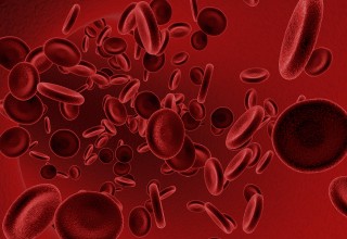 Red blood cells