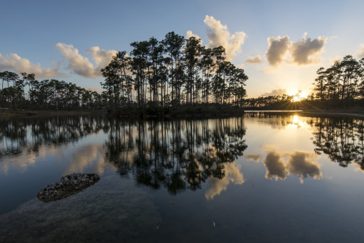 As Florida Rebuilds From Devastating Hurricanes, Nature Offers Solutions for the Future