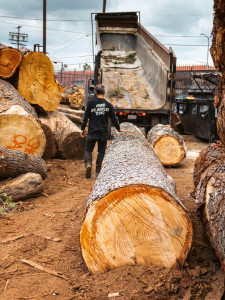 Angel City Lumber