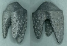 3D Printed REPLICATE Tooth