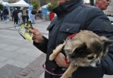 Volunteers distributed some 10,000 copies of The Truth About Drugs booklets in Lille and Brussels April 2-3, 2016.