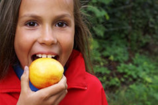 Merced County Food Bank and Community Partners Launch (PEACH) Program.