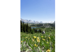 Banff Sunshine Meadows