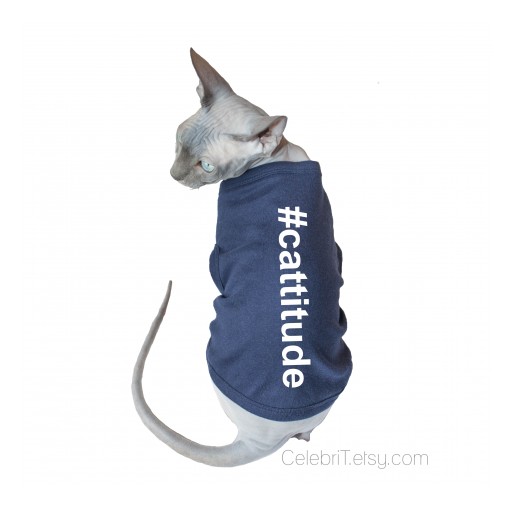 Casual CelebriT Announces New Clothing Line for Sphynx & Other Hairless Cats