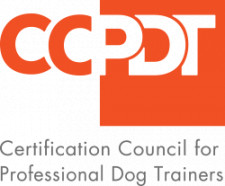 CCPDT Logo