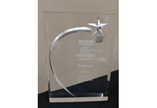 Photo of the Award