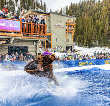 Mr Slush Cup