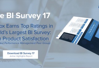 BARC BI Survey 17