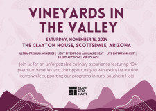 Vineyards in the Valley Graphic