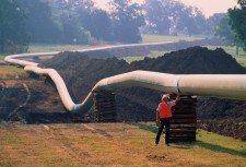 API 1169 pipeline inspection certification