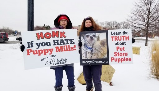 Harley's Dream Endorses Humane Pet Store Bill in Minnesota