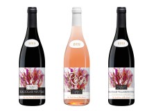 2019 Beaujolais Nouveau labels