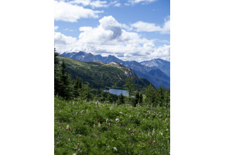 Banff Sunshine Meadows