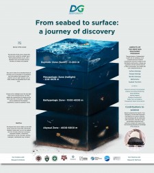 From seabed to surface: a journey of discovery