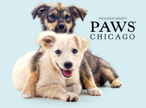 Vetnique Partners With the Mutt Dog & PAWS Chicago to Support Homeless Pets