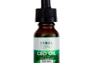 CBD Oil Pets