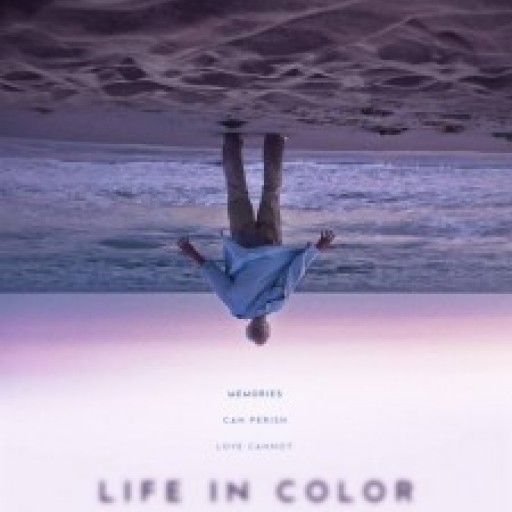 The Creative Journey of 'Life in Color'