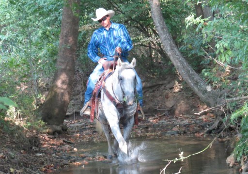 16 Equine Enthusiasts Vie for 2019 Greatmats National Horse Trainer of the Year Title