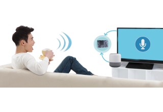 Far-field Voice Control Solution