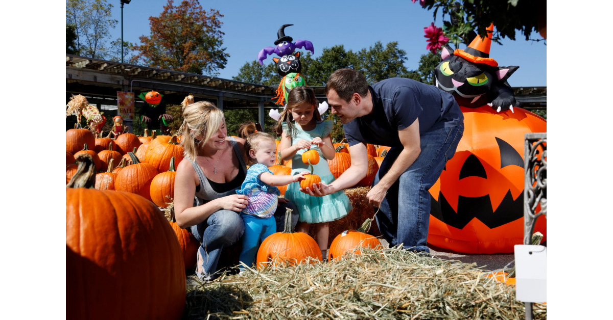 Experience the AllNew Fall Family Festival at Hicks Nurseries