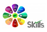 Skills® for Autism curriculum