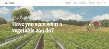 Ark Foods Website Header