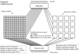 Time-Coherent Global Network