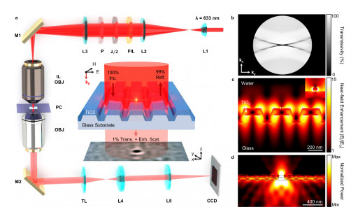 Microscope that Detects Individual Viruses Could Power Rapid Diagnostics