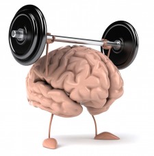 Big Muscle Brain