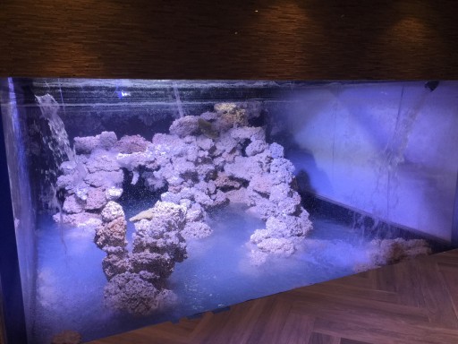 Innovative Acrylics Becomes a Leading Provider of U-Shaped Aquariums