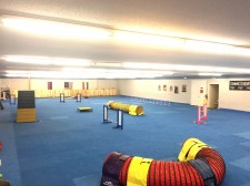 The Agility Facility Course