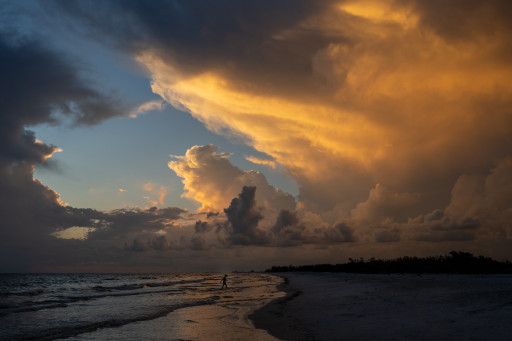 Looking for a Unique Way to Celebrate Valentine's Day? Live Wildly Has Five Outdoor Dates Perfect for Florida Love Birds