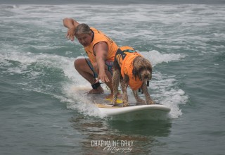 Tandem Dog Human Heat