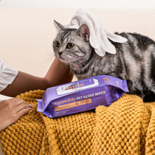 Award-Winning Deodorizing Pet Glove Wipes