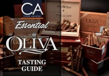 Essential Oliva Tasting Guide