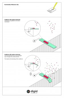 Functionality of the biosensor chip (illustrative)