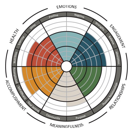 Mental Wellbeing Now Measureable - Technology and Psychology Merge to Combat the Mental Health Crisis