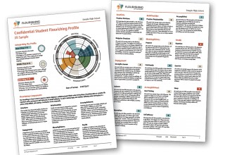 Sample Flourishing Report