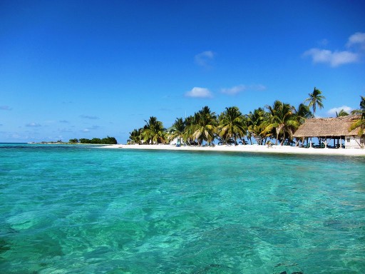 Blackadore Caye: Reviving Its Pristine Beauty