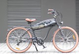 Susan custom electric bike