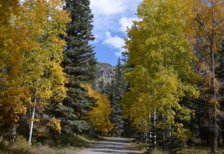 Fall in Pagosa Springs