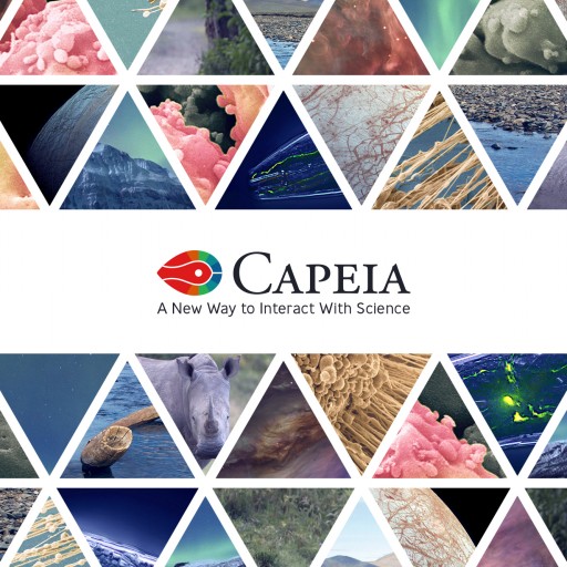 The Science Platform Capeia Introduces a Novel Scoring Algorithm for Monitoring the Impact of Articles