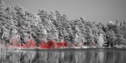 A shallow lake scene reveals excess methane emission (red) when imaged with Telops' Hyper-Cam. Reprinted by permission from Macmillan Publishers Ltd: Nature Climate Change, copyright 2015. Credit: Magnus Gålfalk/Linköping University.