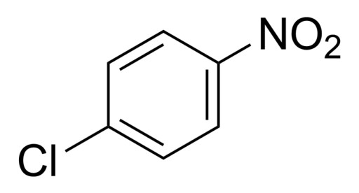 4-Nitrochlorobenzene Market Risks Till 2025: QY Research