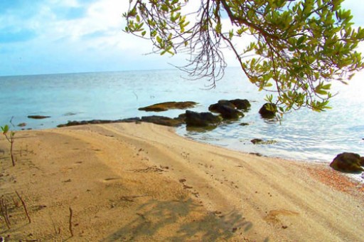 Own a 25-Acre Island Haven One Mile Away From Ambergris Caye