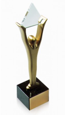 Stevie Award