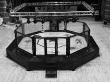 Invicta FC Cage Designed by Zebra Athletics