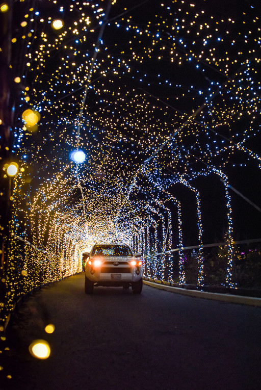 Gardens Aglow at Coastal Maine Botanical Gardens is Underway, Receiving Rave Reviews