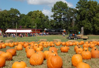 Pumpkin Patch at Texas State Railroad