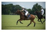 Polo Match